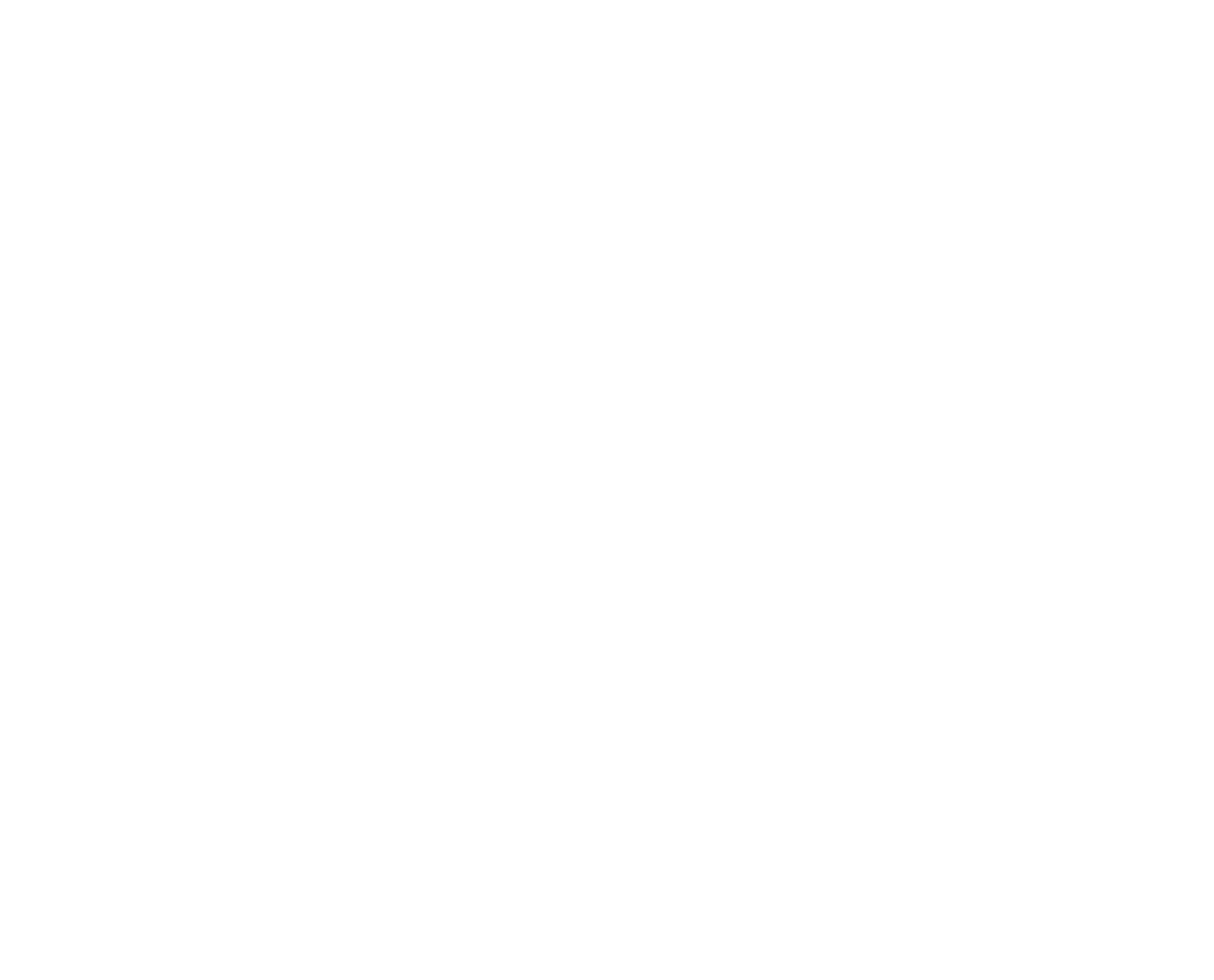 Duluth Grill